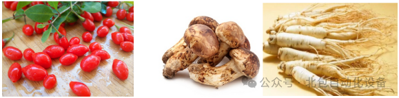 7041d162d0074ba2b4f66b9958eb40f9.png 7041d162d0074ba2b4f66b9958eb40f9.png